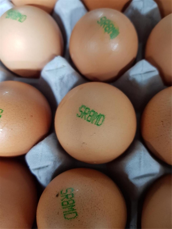 부적합 계란의 난각표시 정보