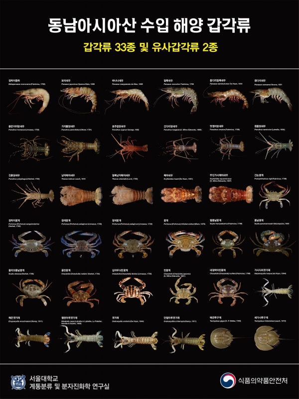 수입 해양갑각류 도감 수록 종(35종)