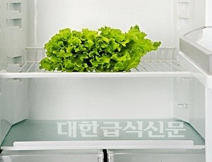 신선 보관을 위한 냉장고 야채칸 ‘세균 득실’