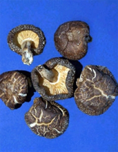 국산 VS 수입 농산물 선별하기 - 표고버섯(동고)
