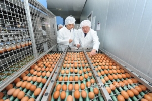 류영진 식약처장, 계란 생산수집 현장 방문