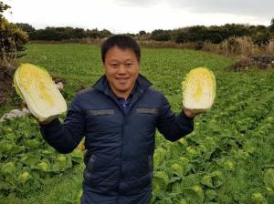 CJ프레시웨이, 신품종 농산물 ‘오렌지배추’ 계약재배