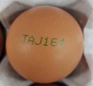 전남 ‘안성농장’ 계란, 부적합 판정으로 전량 회수·폐기조치