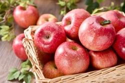 사과, 과육보다 껍질에 항산화 성분 더 많아