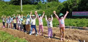 “어린 농부들의 햇 감자 수확”