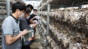 경기농기원, ‘표고버섯 신품종 현장평가회’ 열어