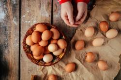 계란 가격 안정 위해 수입 늘린다
