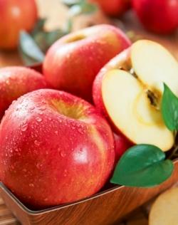우리나라 성인이 많이 먹는 과일 ‘사과’