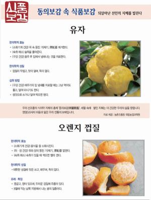 [식품보감] 유자, 오렌지 껍질
