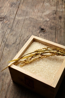 농진청이 연구한 결과, 쌀맛이 가장 오랫동안 유지되는 보관 온도가 4°C인 것으로 나타났다.