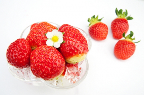 국산 딸기 품종 ‘설향’