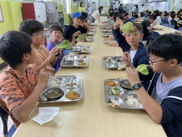 제주 김녕초등학교(교장 김양선)가 지난 8일 학교 텃밭에서 학생들이 가꿔온 채소를 활용한 학교급식 식단을 선보였다. 지난 4월부터 채소를 가꿔온 학생들은 “친환경 급식과 친환경 농업의 의미와 가치에 대해 더 잘 알게 되었다”고 전했다.