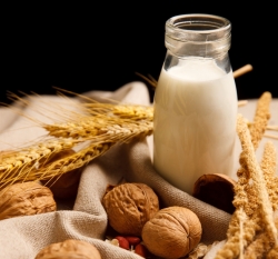식물성 대체 우유 단백질 함량이 우유·두유의 1/3 수준에 불과한 것으로 나타났다. 