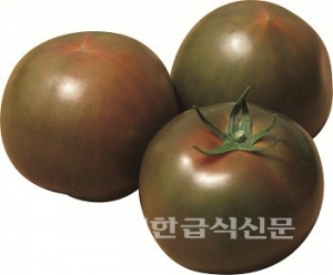 아시아종묘, 토마토 시범포 현장 평가회 개최