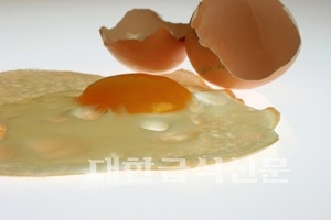 달걀, 콜레스테롤 수치 높인다?… NO