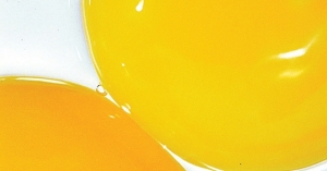 달걀 노른자 기름, 모유 영양보다 낫다?