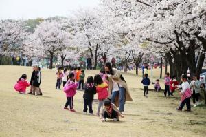 "의왕시청 벚꽃축제, 놀러오세요"...14~15일 열려