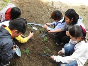 울산 매곡초, ‘생명·땀 프로젝트’ 실시
