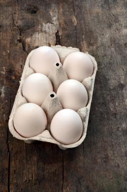 달걀, 더 안전하게 관리한다
