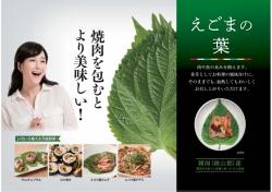 한국산 깻잎, 일본 기능성표시식품로 인정받았다