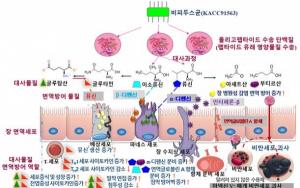 농진청, 소화효소 통한 장내 면역 메커니즘 규명