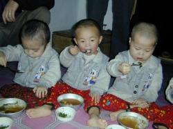 북한 어린이 빈혈비율, 남한 어린이의 세 배