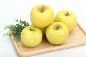 “노란 사과 맛보세요” 국산 ‘골든볼’ 홍보행사 열린다