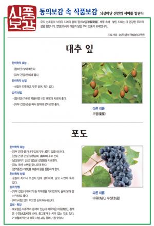 [식품보감] 대추 잎, 포도